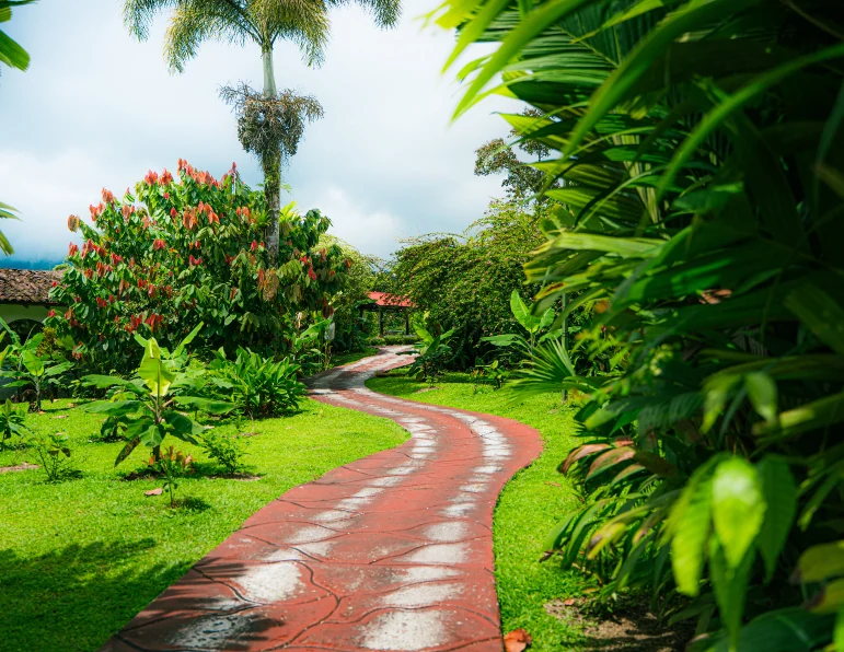 Path through tropical gardens