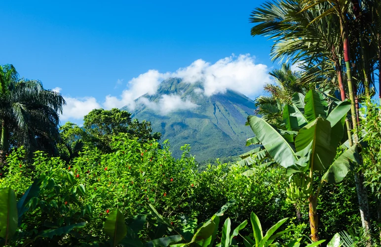 Arenal Volcano and lush vegetation