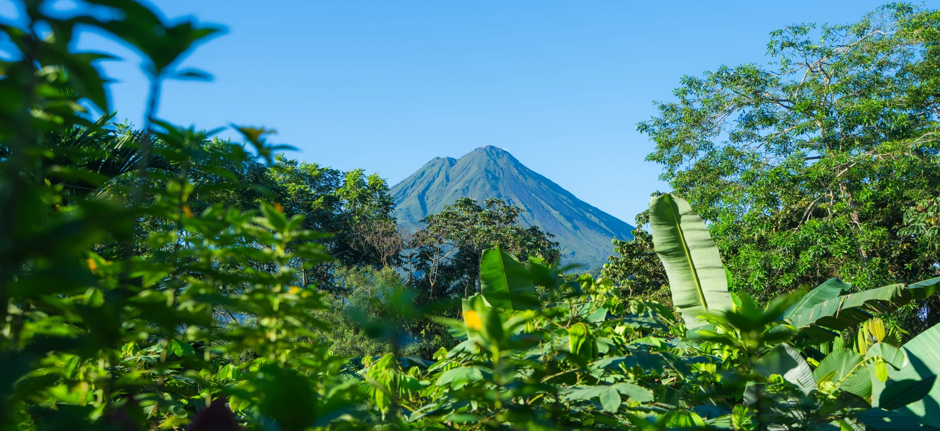 Arenal Volcano surrounded by rainforest