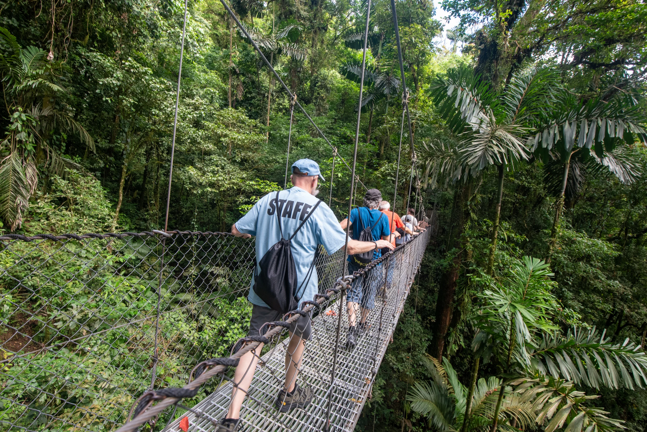 Hanging bridge in the rainforest