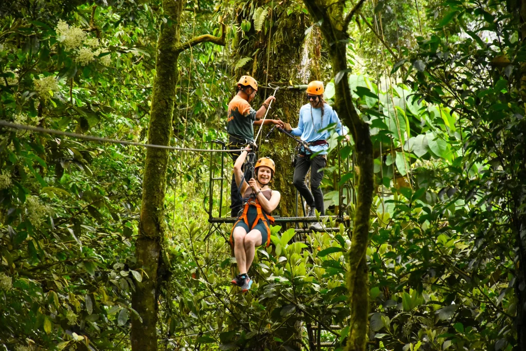 A guided canopy adventure