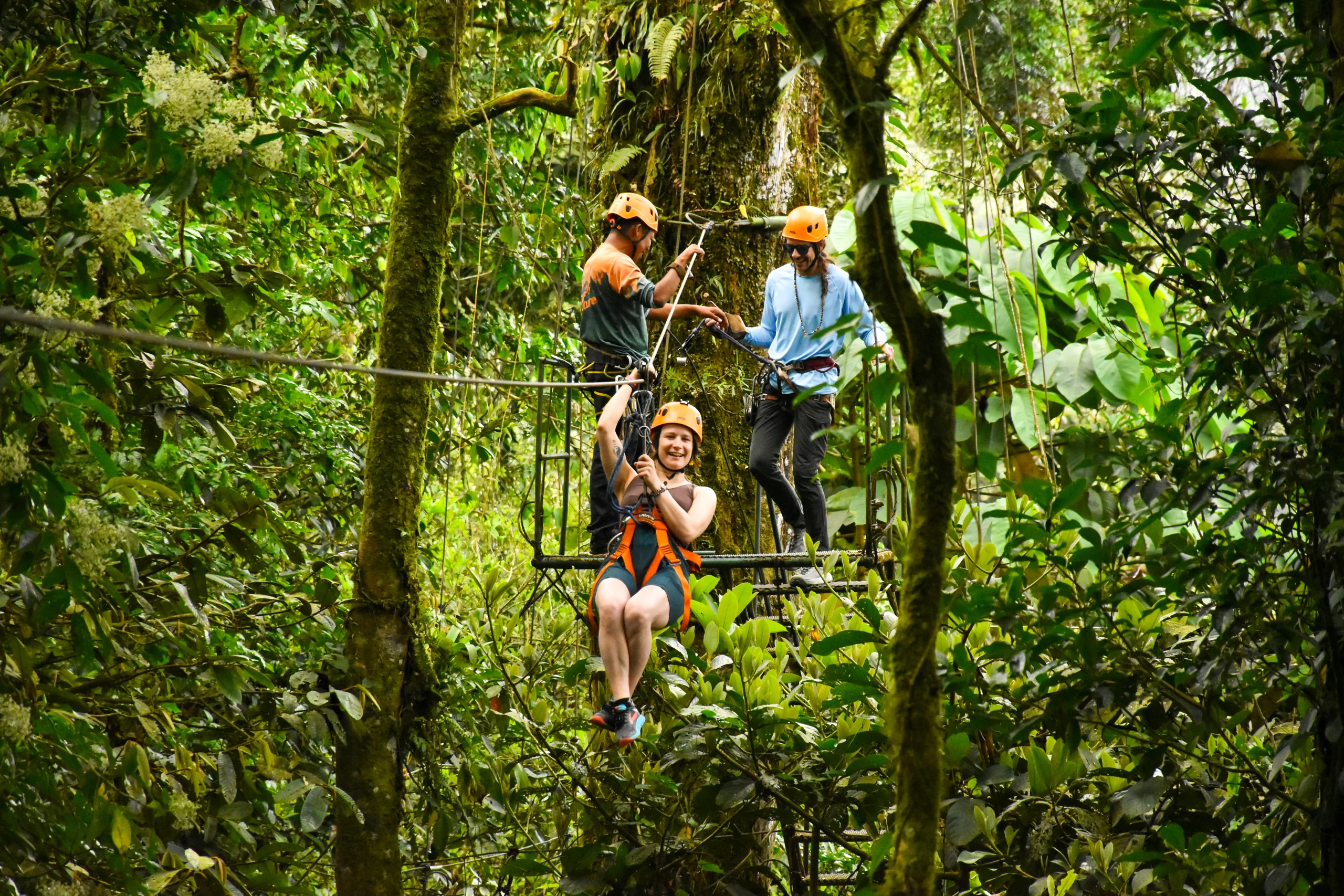 A guided canopy adventure