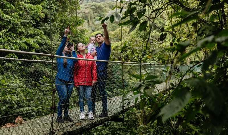 Travelers on a rainforest hanging bridge