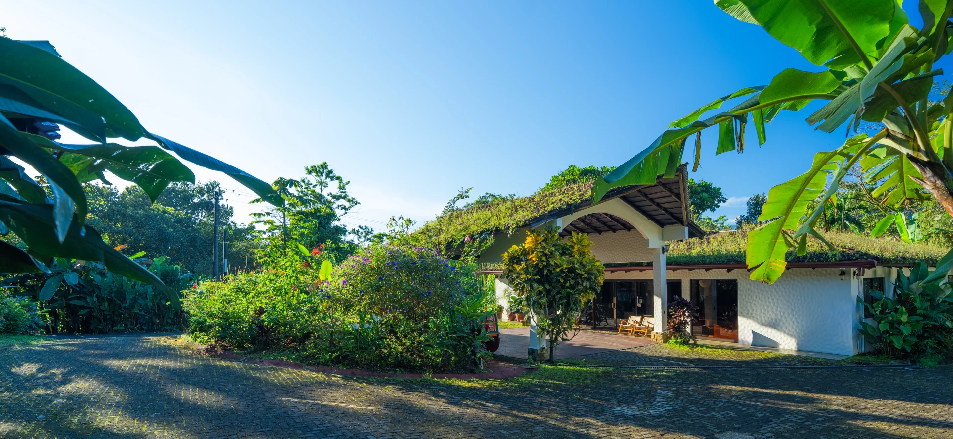 Gardens and accommodations at Arenal Rainforest Resort